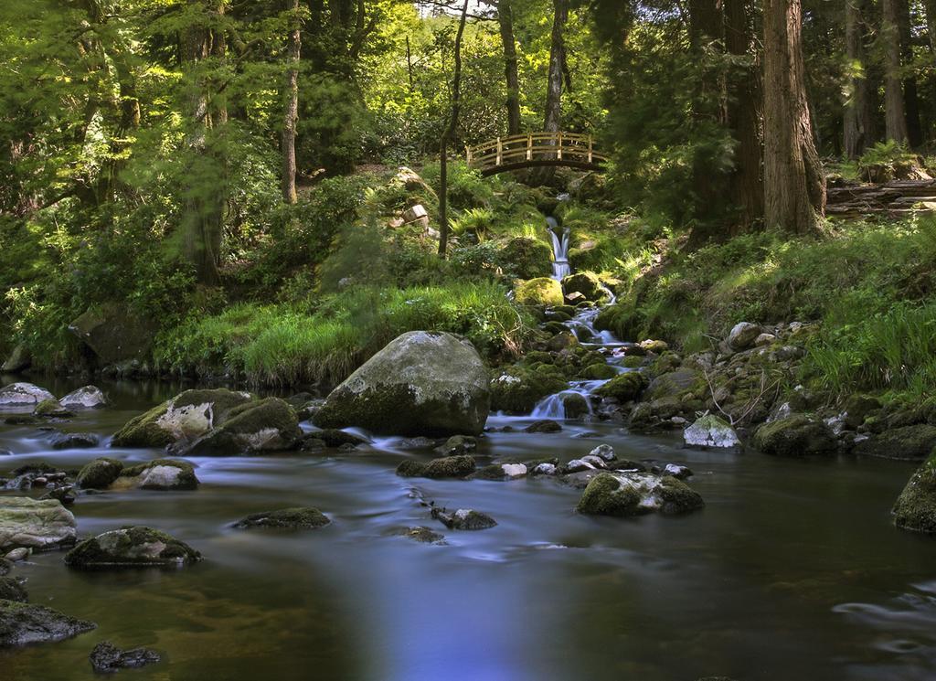 Ballyteige Lodge Ballyteige Bridge Zewnętrze zdjęcie